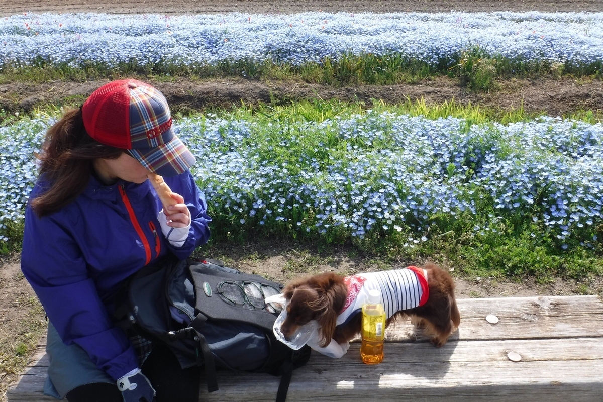 f:id:hirotaka72:20200426132011j:plain f:id:hirotaka72:20200426132011j:plain