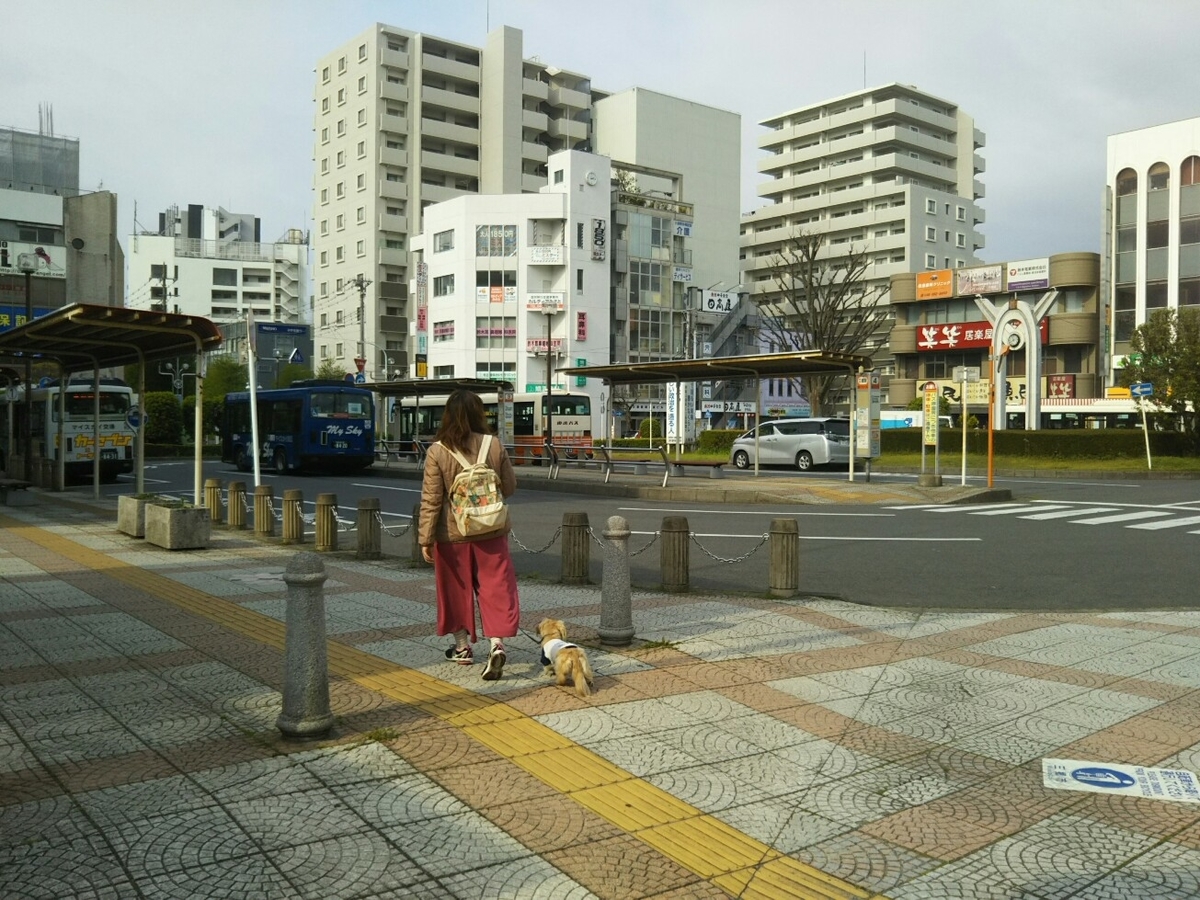 f:id:hirotaka72:20200427075357j:plain