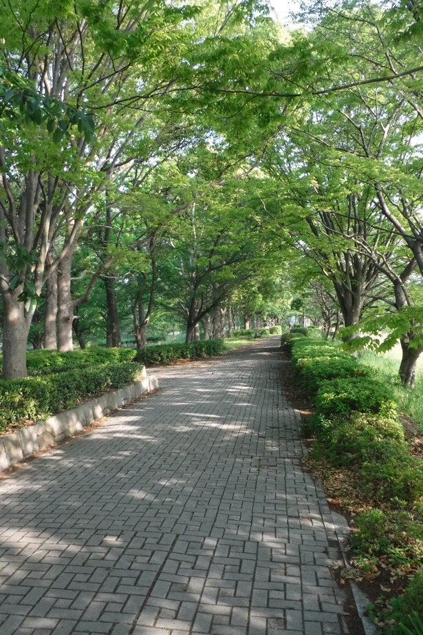 f:id:hirotaka72:20200502092148j:plain f:id:hirotaka72:20200502092148j:plain
