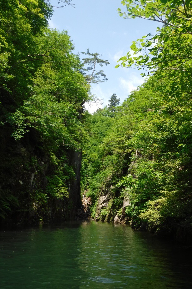 f:id:hirotaka72:20200622205256j:plain f:id:hirotaka72:20200622205256j:plain