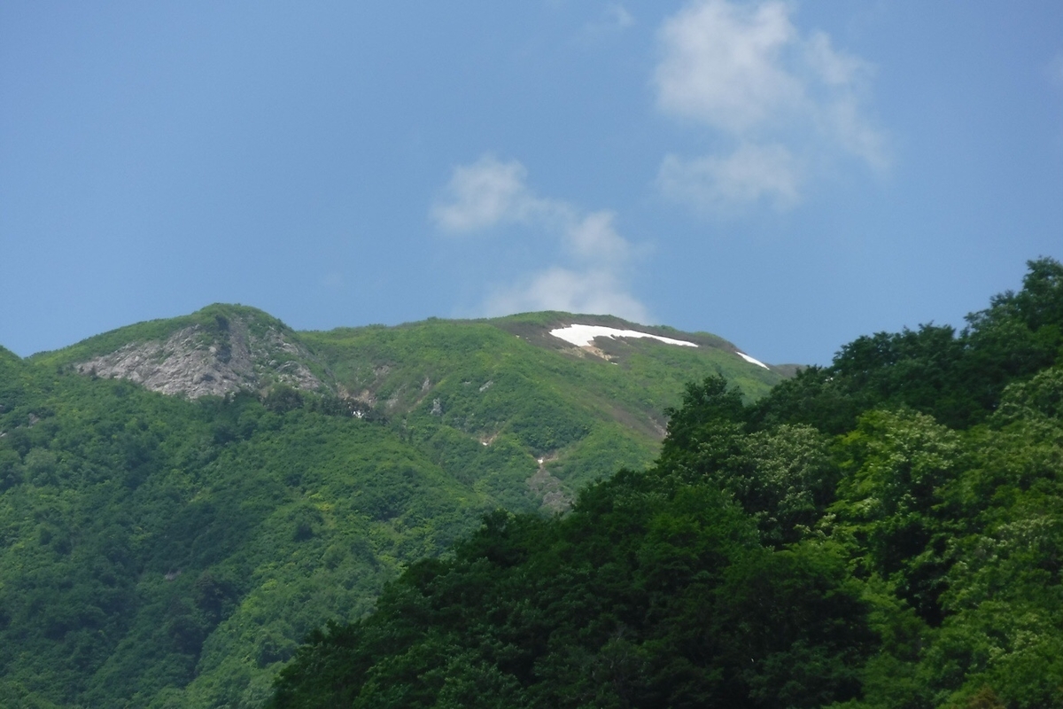 f:id:hirotaka72:20200622210925j:plain f:id:hirotaka72:20200622210925j:plain