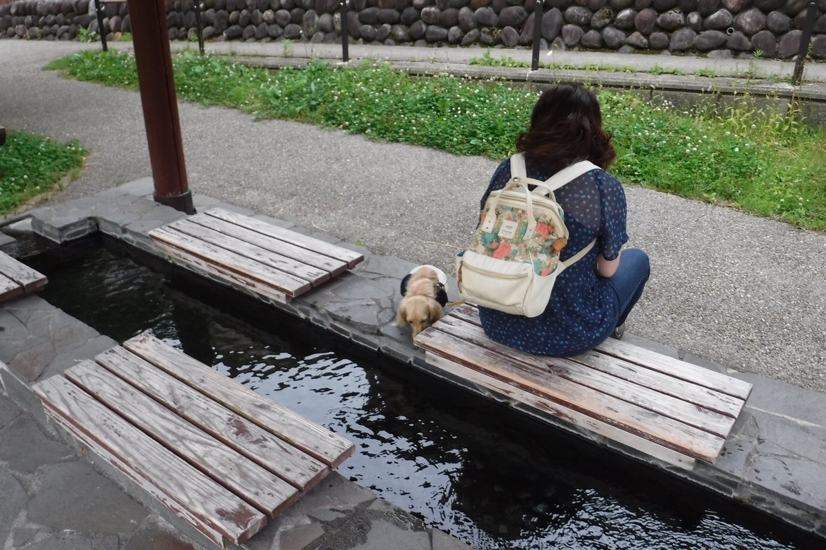 f:id:hirotaka72:20200628182522j:plain f:id:hirotaka72:20200628182522j:plain