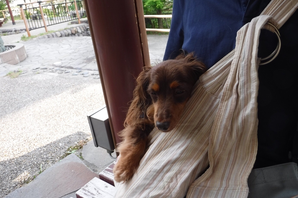 f:id:hirotaka72:20200628182538j:plain f:id:hirotaka72:20200628182538j:plain