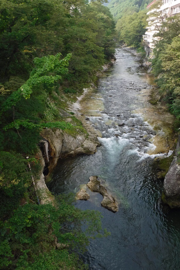 f:id:hirotaka72:20200628182607j:plain f:id:hirotaka72:20200628182607j:plain