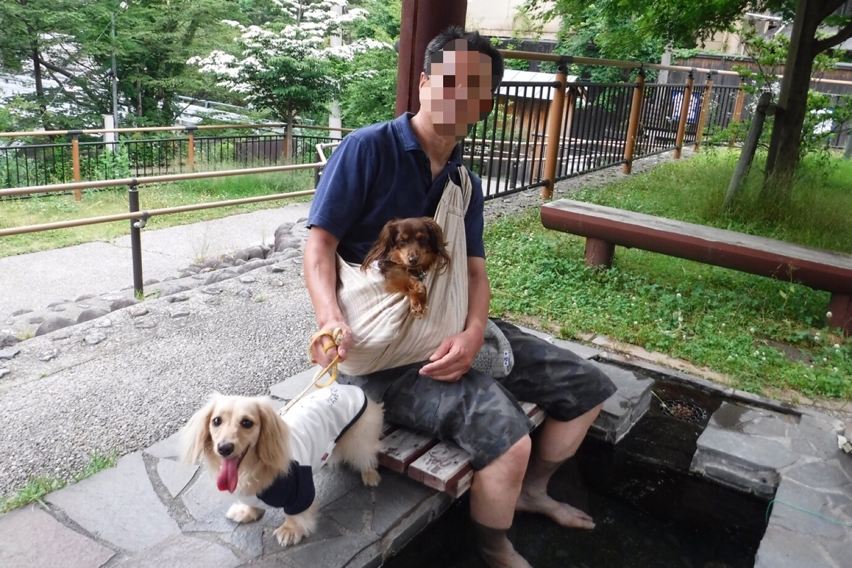 f:id:hirotaka72:20200628182754j:plain f:id:hirotaka72:20200628182754j:plain
