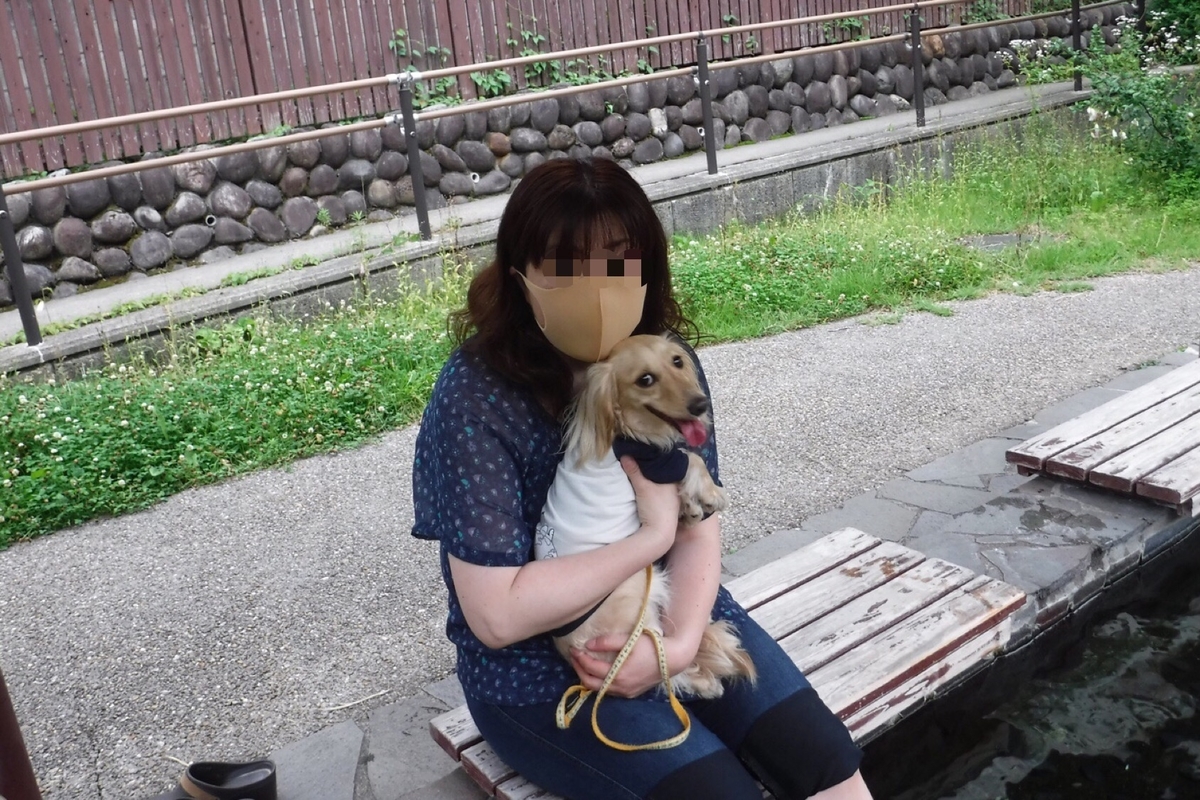 f:id:hirotaka72:20200628182809j:plain f:id:hirotaka72:20200628182809j:plain