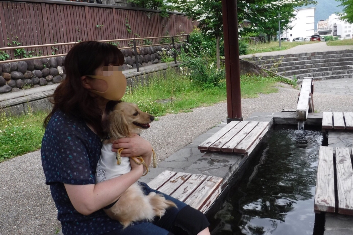 f:id:hirotaka72:20200628182830j:plain f:id:hirotaka72:20200628182830j:plain