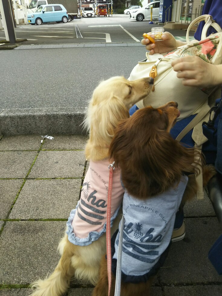 f:id:hirotaka72:20200705090741j:plain f:id:hirotaka72:20200705090741j:plain