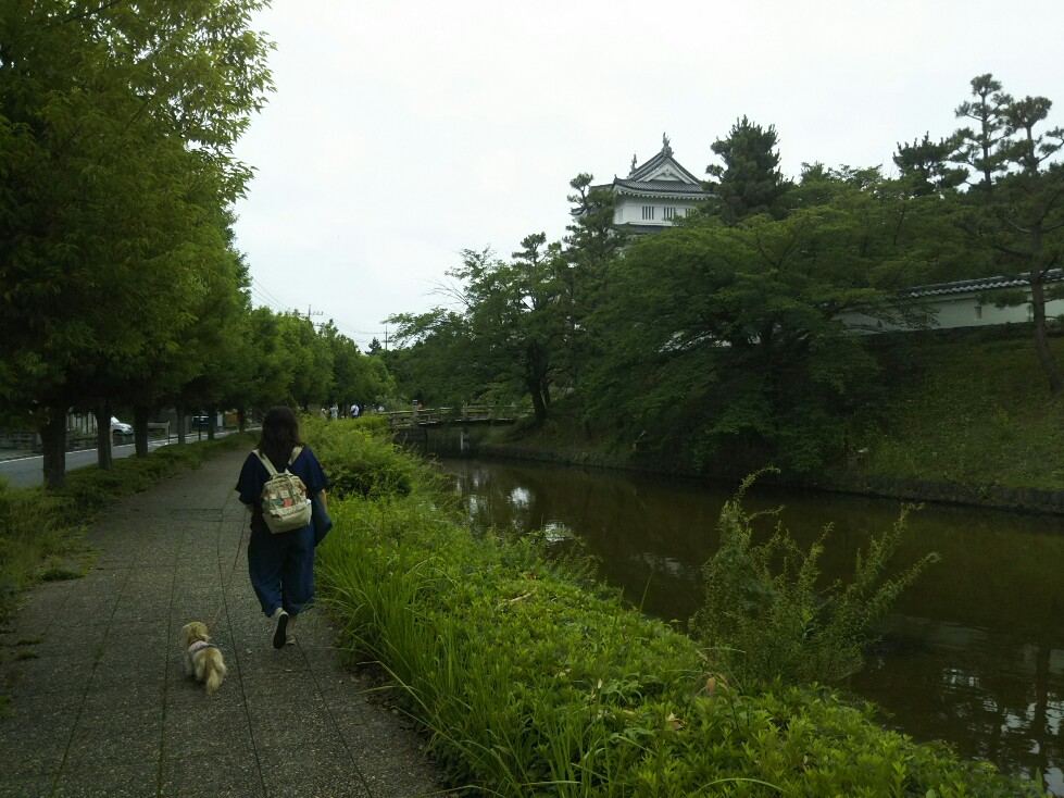 f:id:hirotaka72:20200705095817j:plain f:id:hirotaka72:20200705095817j:plain