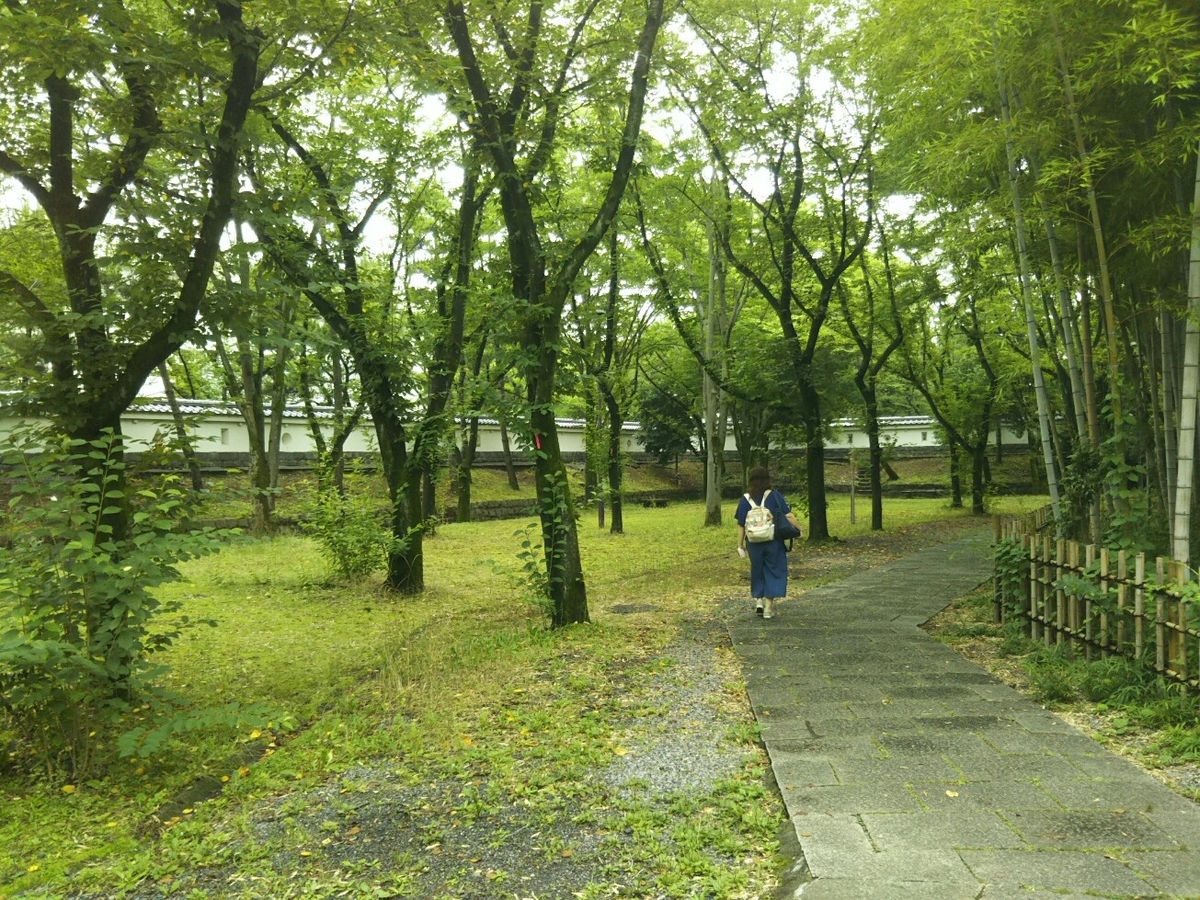 f:id:hirotaka72:20200705100242j:plain f:id:hirotaka72:20200705100242j:plain