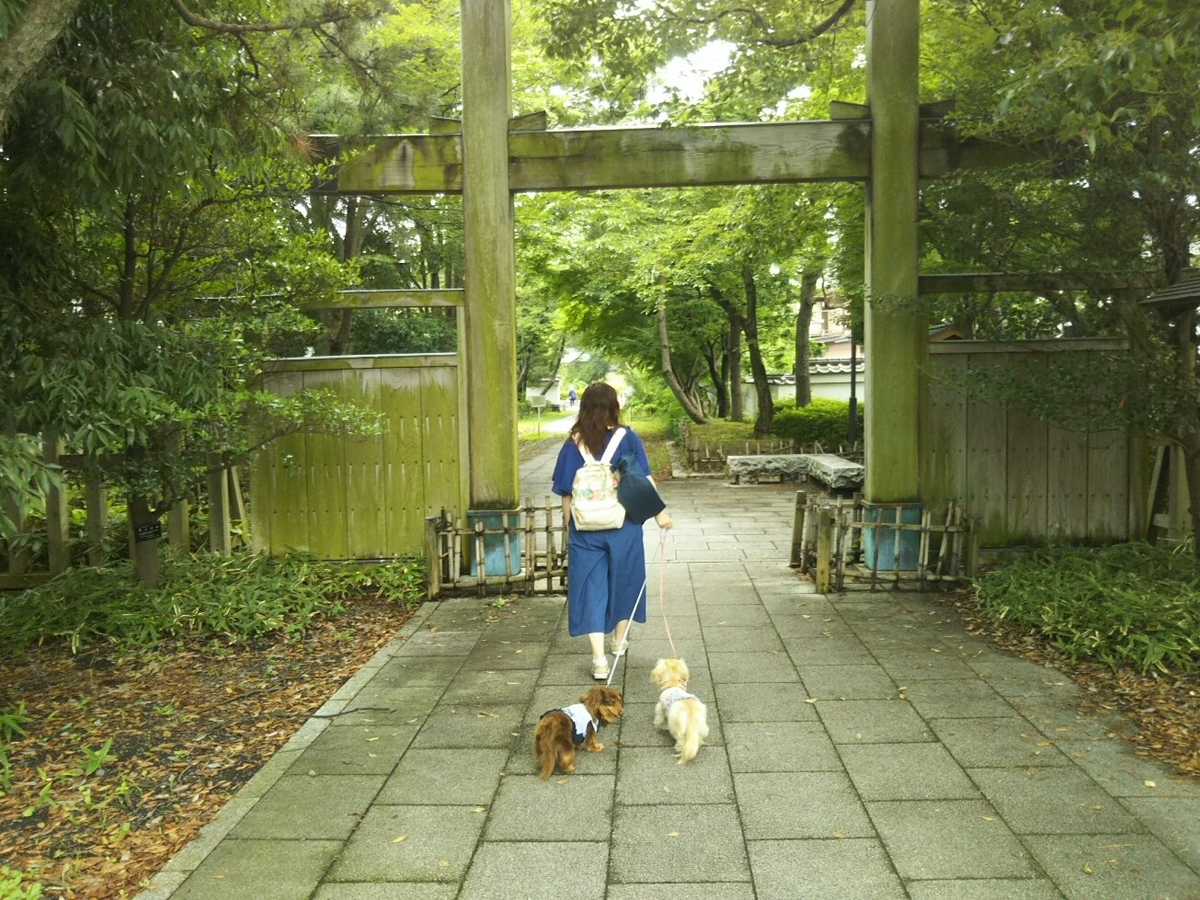 f:id:hirotaka72:20200705101841j:plain f:id:hirotaka72:20200705101841j:plain