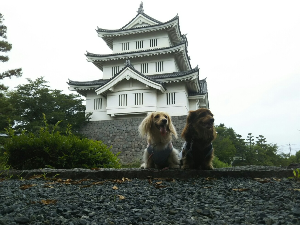 f:id:hirotaka72:20200705102333j:plain f:id:hirotaka72:20200705102333j:plain