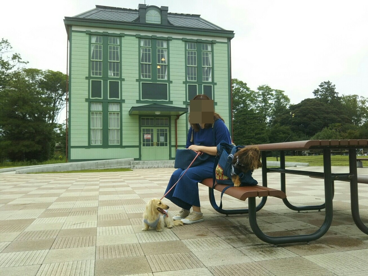 f:id:hirotaka72:20200705104641j:plain f:id:hirotaka72:20200705104641j:plain
