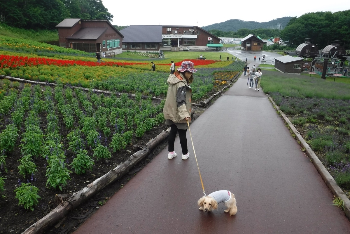 f:id:hirotaka72:20200723140727j:plain