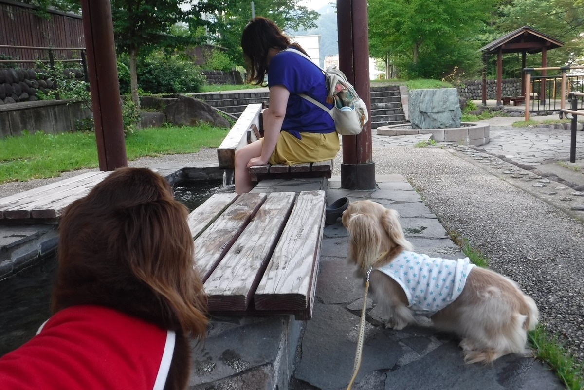 f:id:hirotaka72:20200723162337j:plain