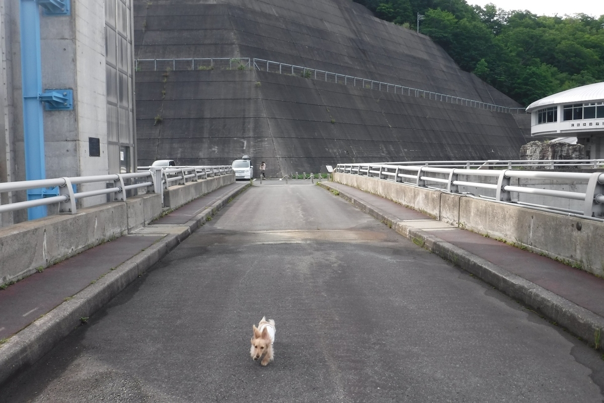 f:id:hirotaka72:20200724070606j:plain f:id:hirotaka72:20200724070606j:plain
