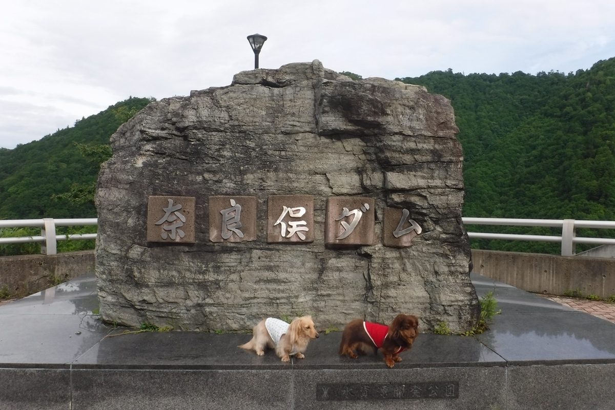 f:id:hirotaka72:20200724070811j:plain f:id:hirotaka72:20200724070811j:plain