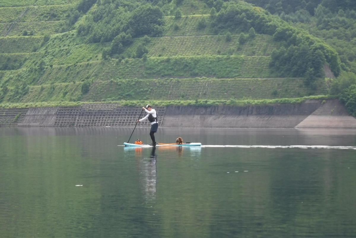 f:id:hirotaka72:20200724082554j:plain f:id:hirotaka72:20200724082554j:plain