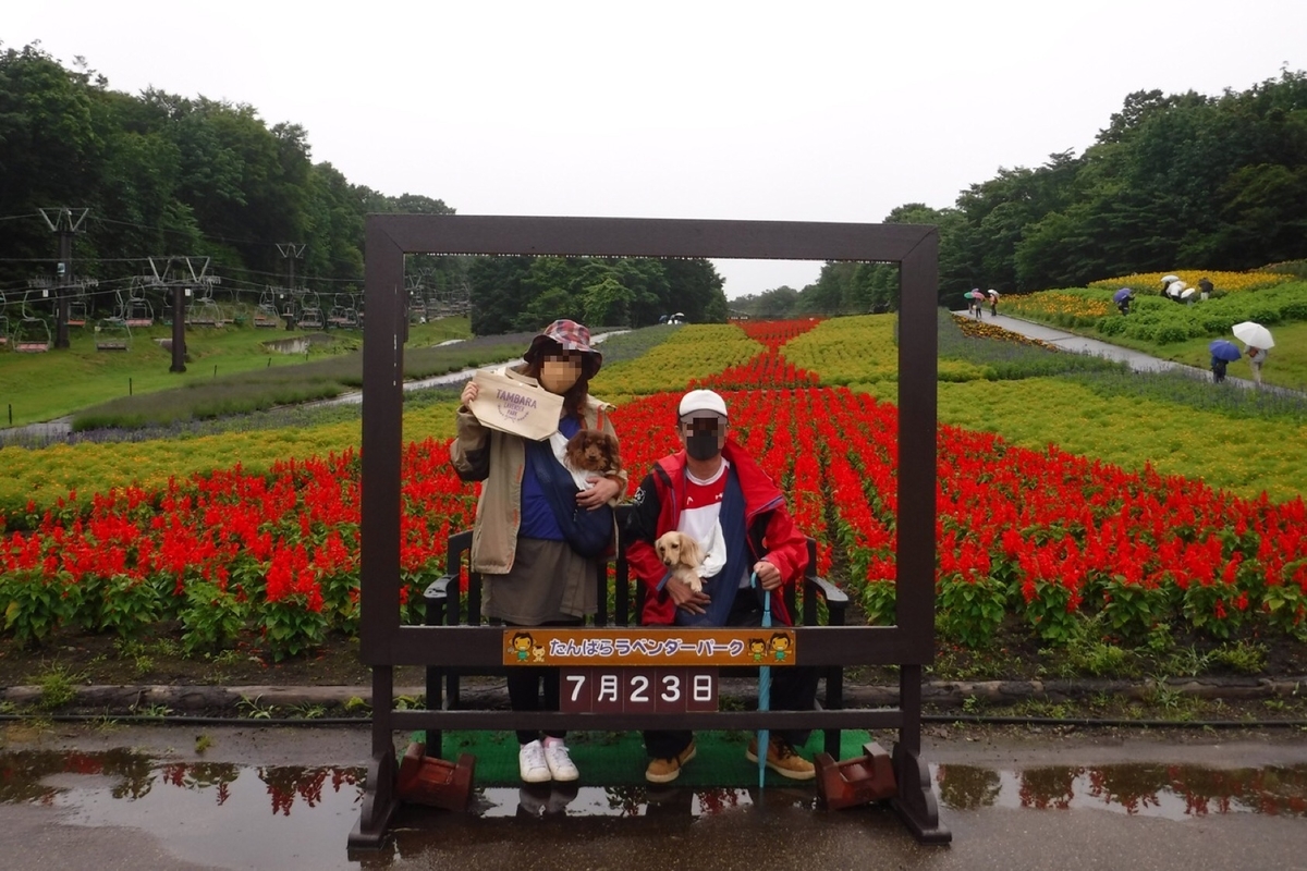 f:id:hirotaka72:20200725200841j:plain