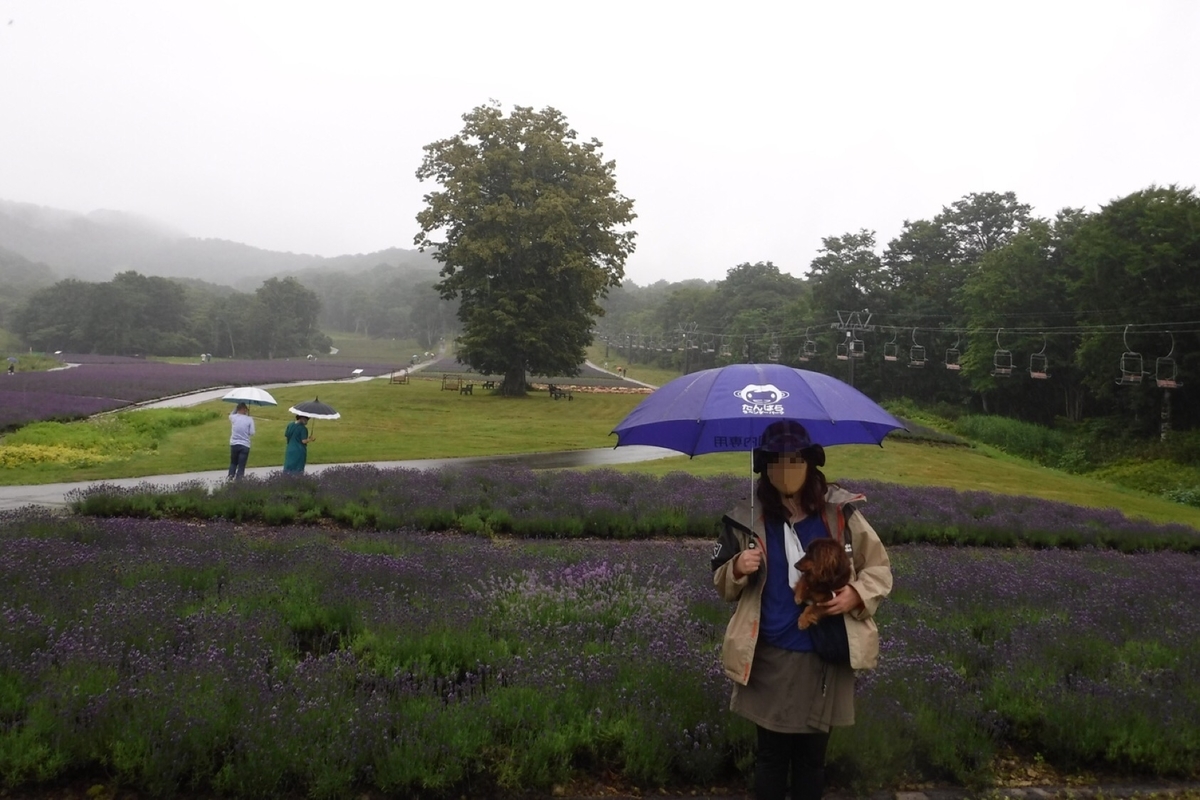 f:id:hirotaka72:20200725201330j:plain