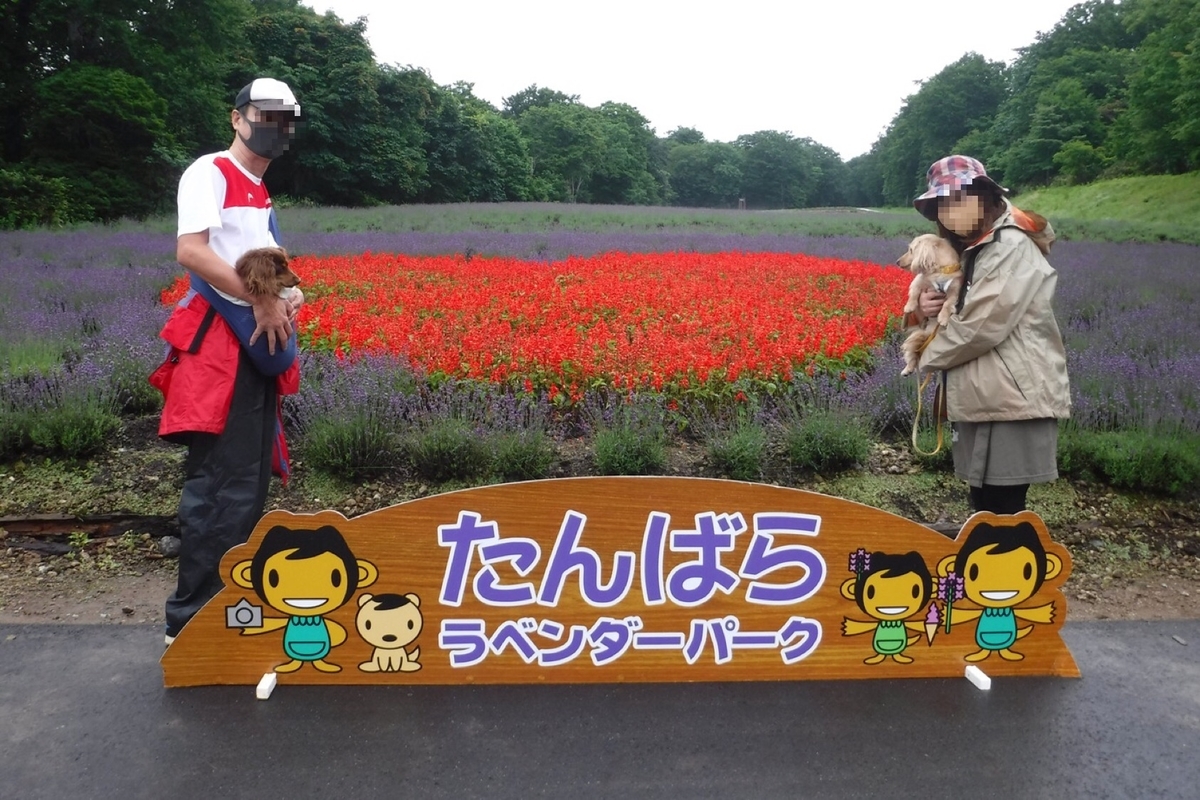 f:id:hirotaka72:20200725201933j:plain