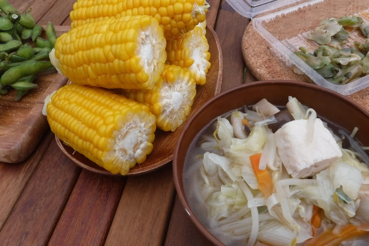 f:id:hirotaka72:20200802072144j:plain f:id:hirotaka72:20200802072144j:plain