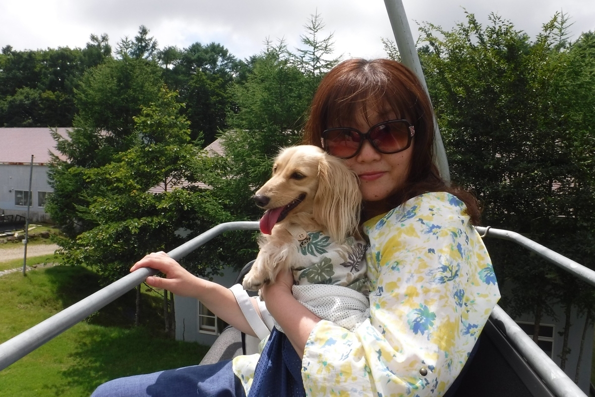 f:id:hirotaka72:20200802115846j:plain f:id:hirotaka72:20200802115846j:plain
