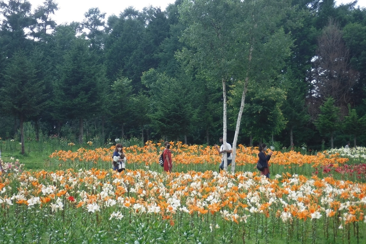f:id:hirotaka72:20200802125855j:plain f:id:hirotaka72:20200802125855j:plain