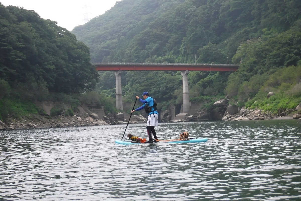 f:id:hirotaka72:20200808082240j:plain