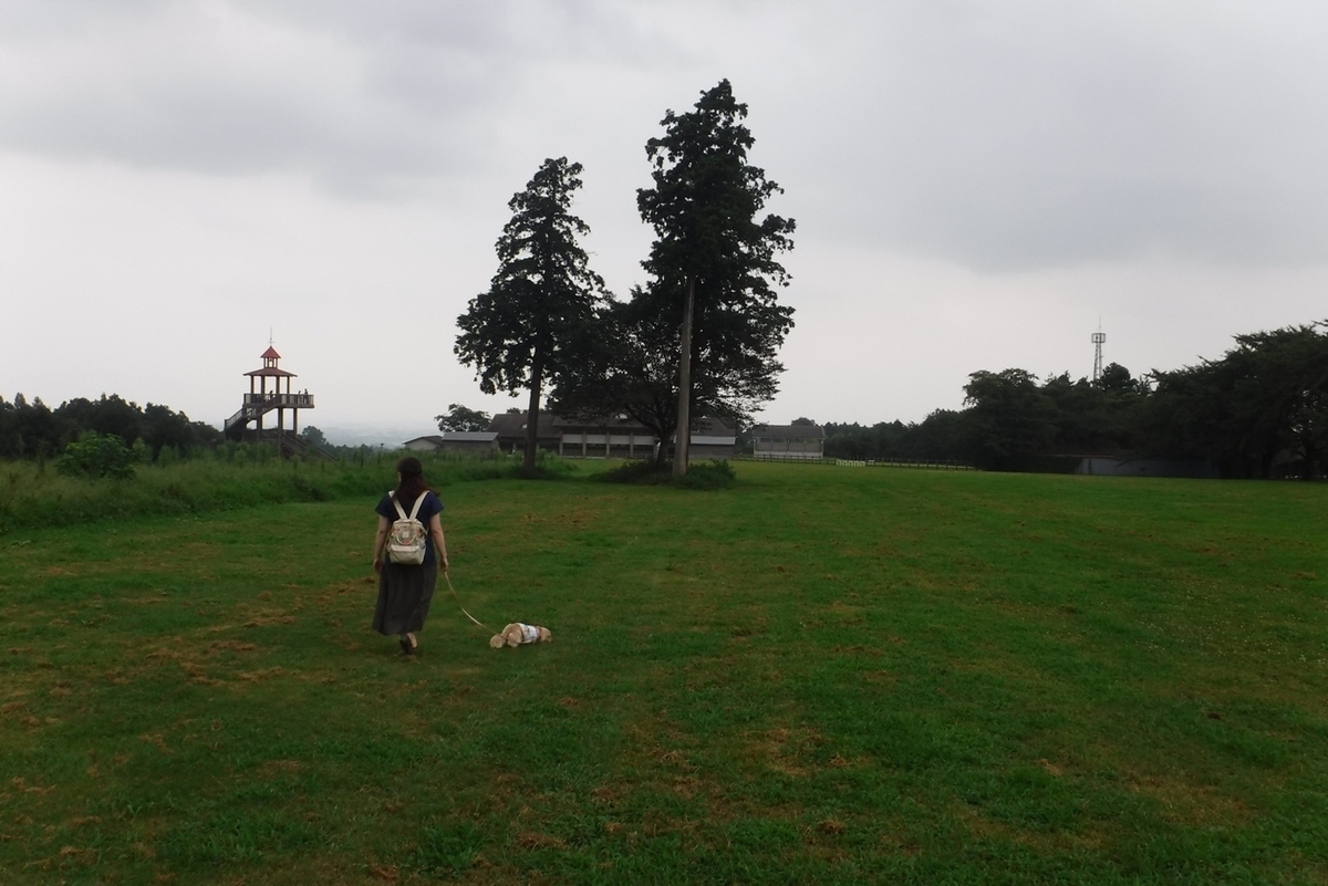 f:id:hirotaka72:20200808133807j:plain
