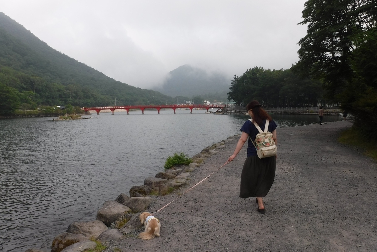 f:id:hirotaka72:20200808150255j:plain
