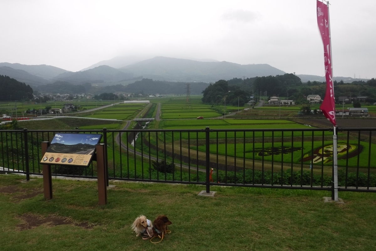 f:id:hirotaka72:20200808164708j:plain