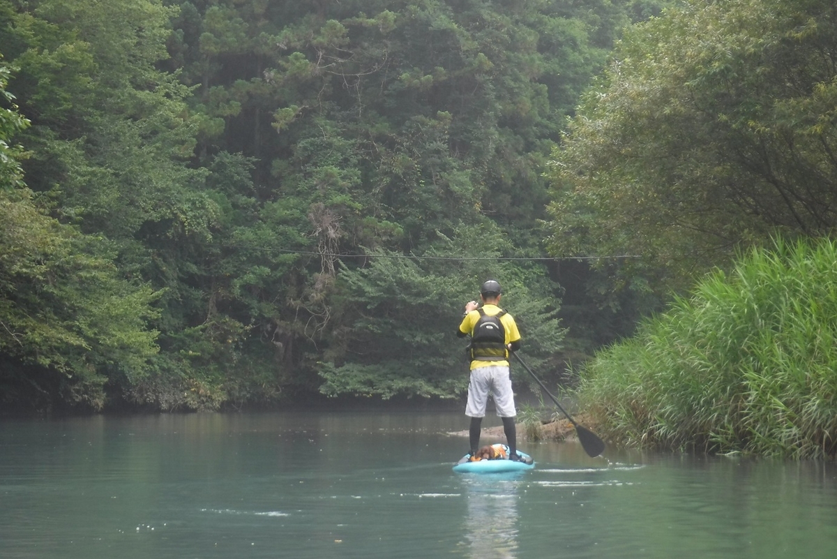 f:id:hirotaka72:20200809101054j:plain f:id:hirotaka72:20200809101054j:plain