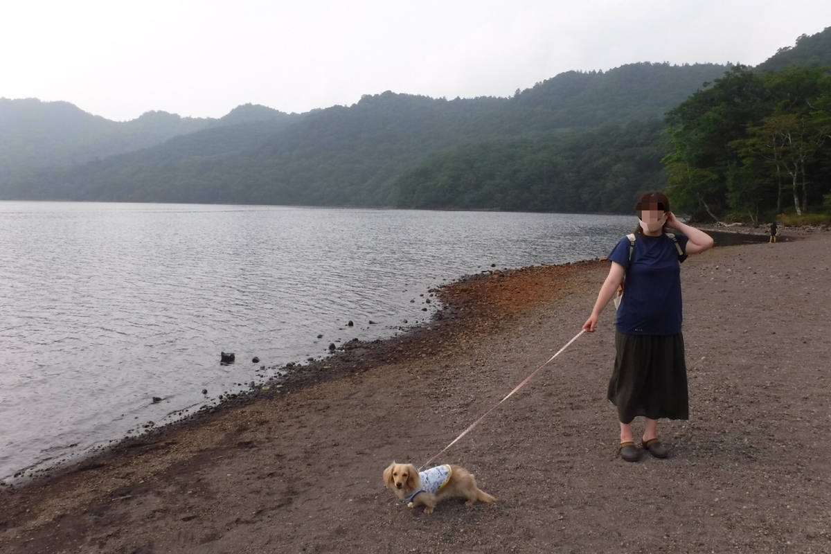f:id:hirotaka72:20200811202404j:plain