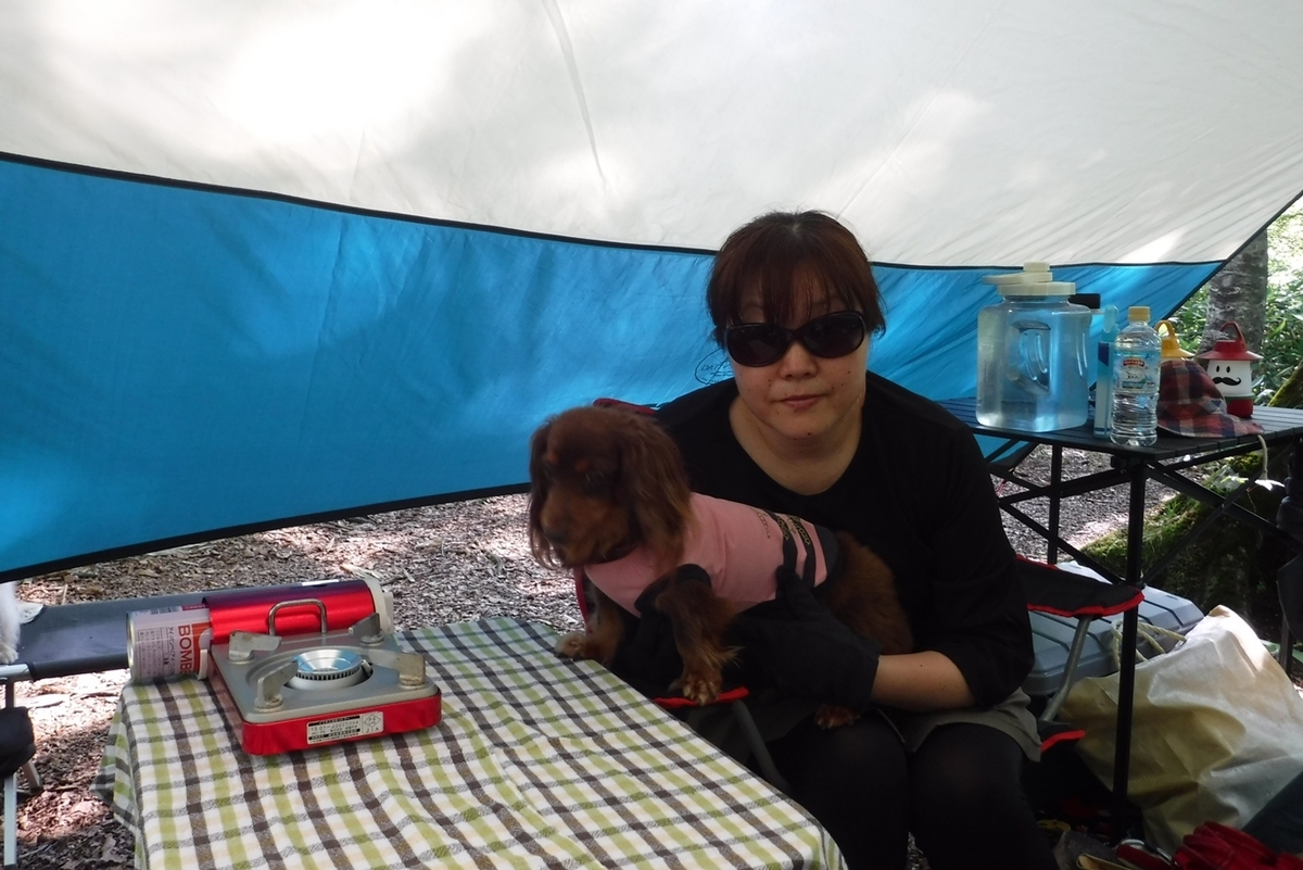f:id:hirotaka72:20200815084327j:plain f:id:hirotaka72:20200815084327j:plain