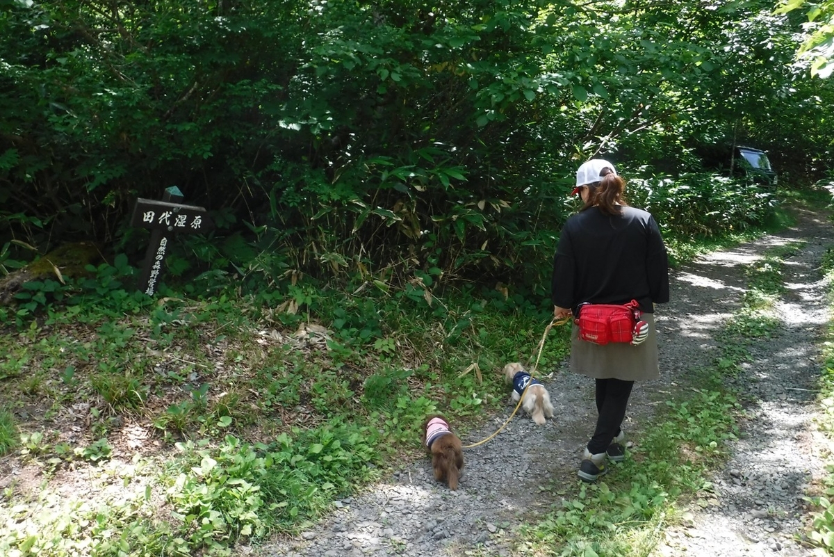 f:id:hirotaka72:20200815101248j:plain f:id:hirotaka72:20200815101248j:plain