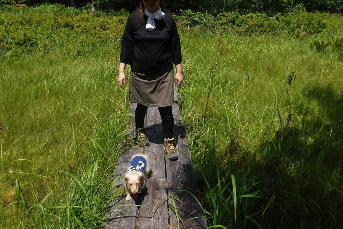 f:id:hirotaka72:20200815112442j:plain f:id:hirotaka72:20200815112442j:plain