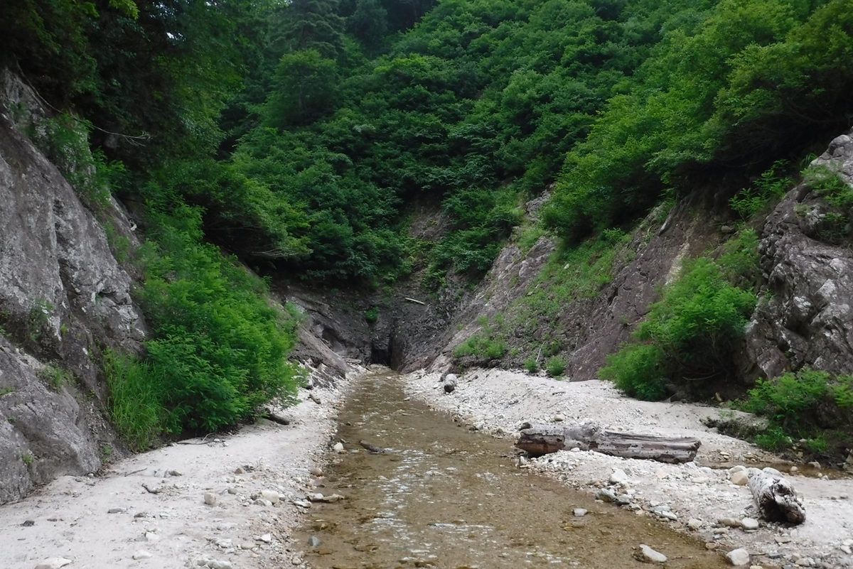 f:id:hirotaka72:20200816101243j:plain f:id:hirotaka72:20200816101243j:plain
