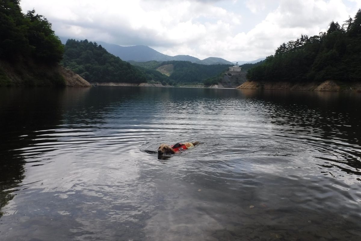 f:id:hirotaka72:20200816105026j:plain f:id:hirotaka72:20200816105026j:plain
