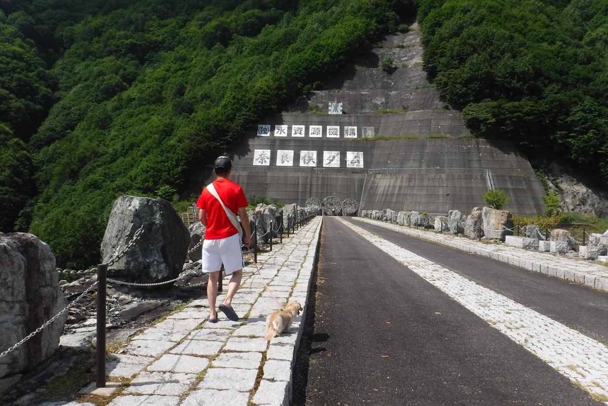 f:id:hirotaka72:20200816124903j:plain f:id:hirotaka72:20200816124903j:plain