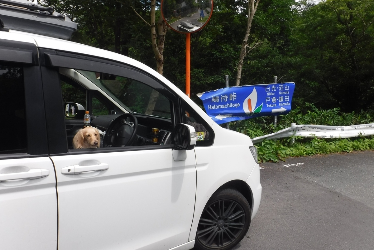 f:id:hirotaka72:20200817105412j:plain f:id:hirotaka72:20200817105412j:plain