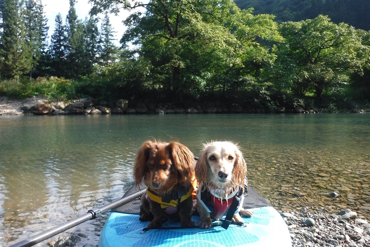 f:id:hirotaka72:20200817150410j:plain f:id:hirotaka72:20200817150410j:plain