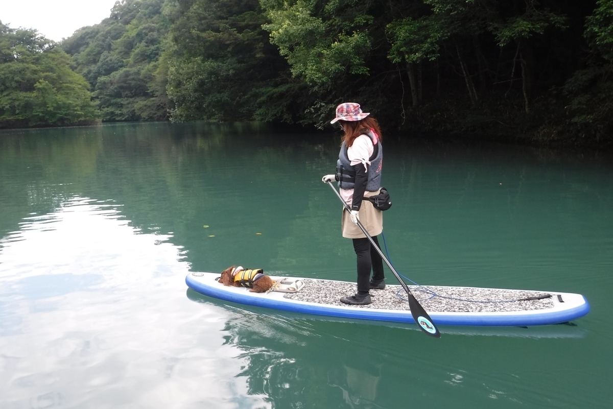 f:id:hirotaka72:20200817151505j:plain f:id:hirotaka72:20200817151505j:plain