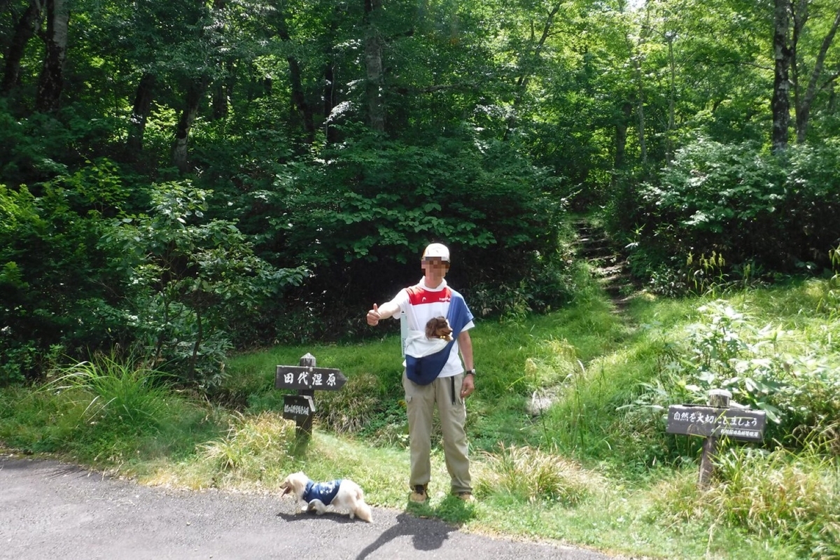 f:id:hirotaka72:20200818202733j:plain f:id:hirotaka72:20200818202733j:plain