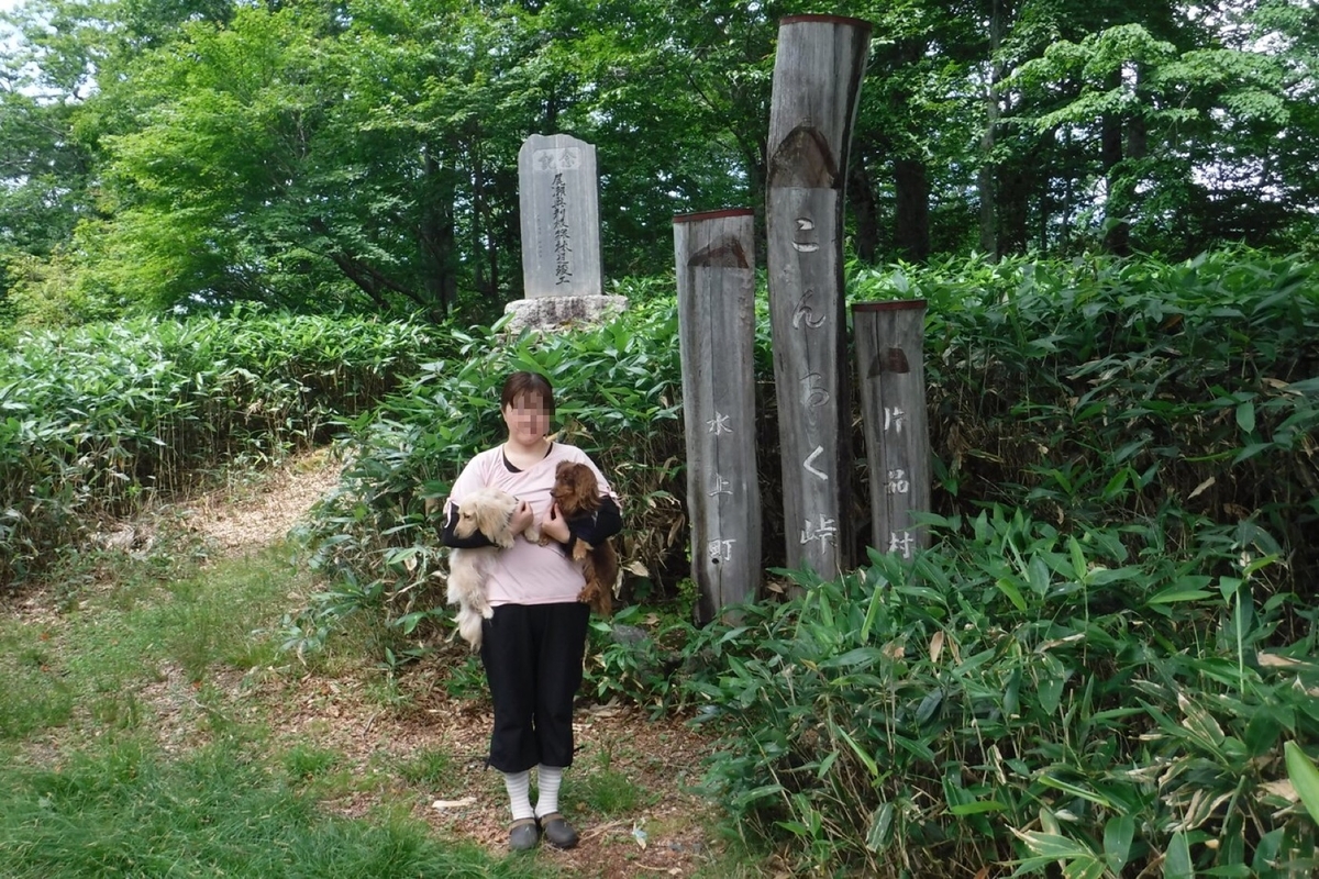 f:id:hirotaka72:20200818221417j:plain f:id:hirotaka72:20200818221417j:plain
