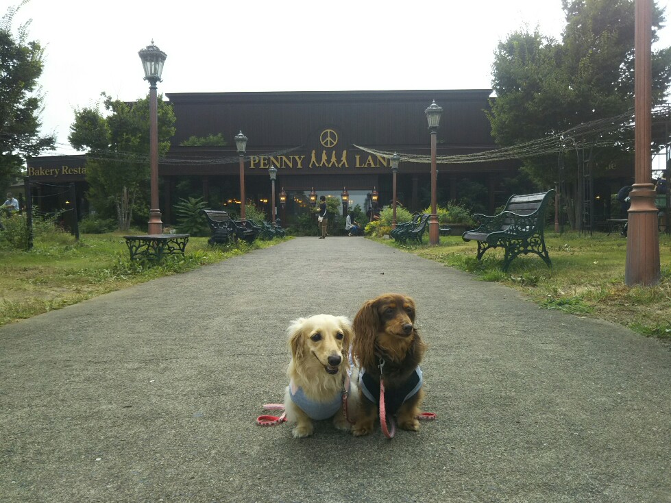 f:id:hirotaka72:20200823094736j:plain