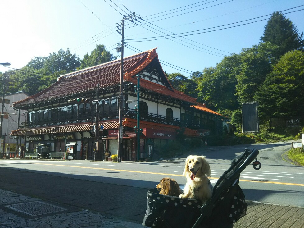 f:id:hirotaka72:20200829082837j:plain f:id:hirotaka72:20200829082837j:plain