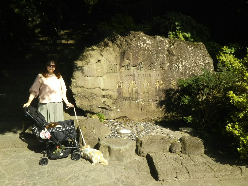f:id:hirotaka72:20200829083528j:plain f:id:hirotaka72:20200829083528j:plain