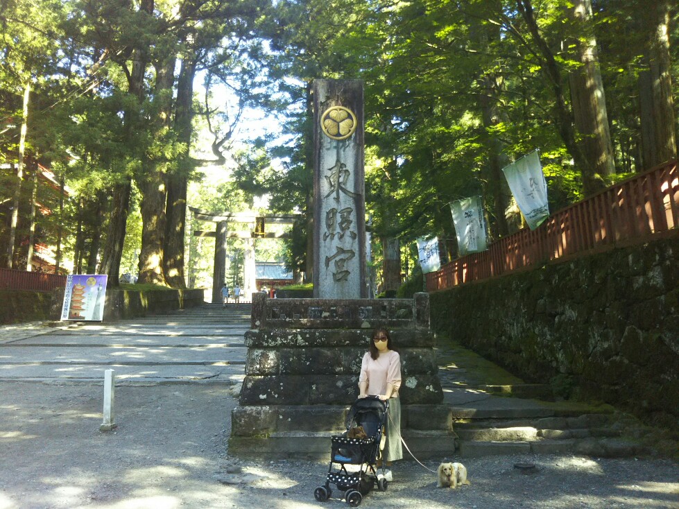 f:id:hirotaka72:20200829085406j:plain f:id:hirotaka72:20200829085406j:plain