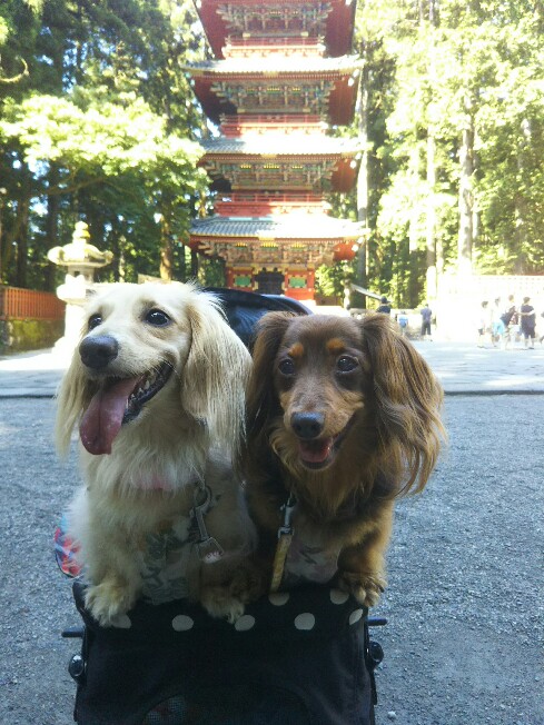 f:id:hirotaka72:20200829085943j:plain f:id:hirotaka72:20200829085943j:plain
